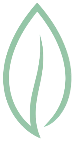 logo feuille vert pastel
